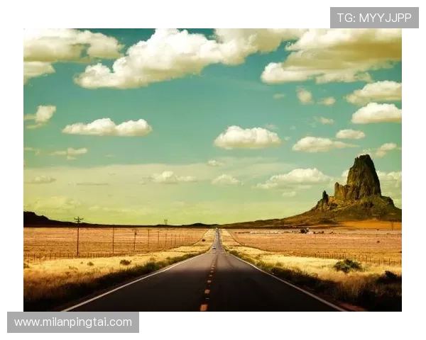 米兰下载体验中的常见问题及解决方案